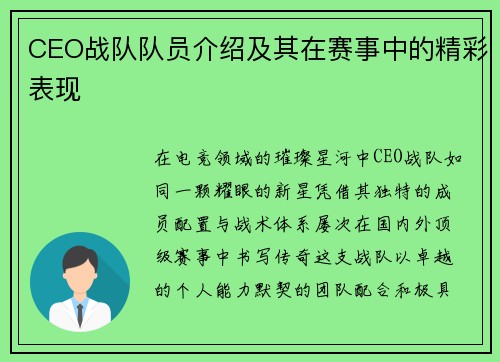 CEO战队队员介绍及其在赛事中的精彩表现