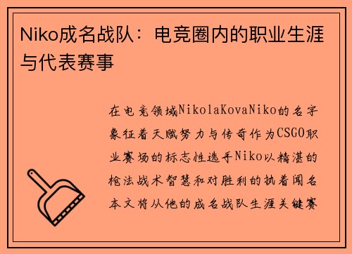 Niko成名战队：电竞圈内的职业生涯与代表赛事